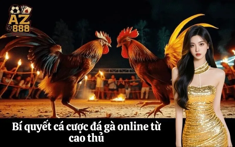 Bí quyết cá cược đá gà online từ cao thủ