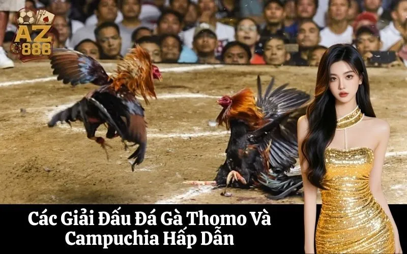 Các Giải Đấu Đá Gà Thomo Và Campuchia Hấp Dẫn