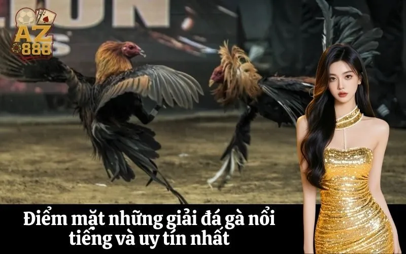 Điểm mặt những giải đá gà nổi tiếng và uy tín nhất