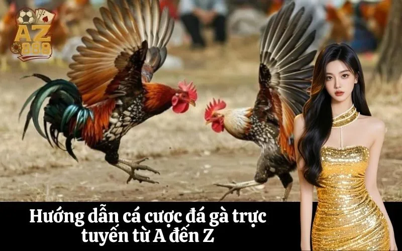 Hướng dẫn cá cược đá gà trực tuyến từ A đến Z