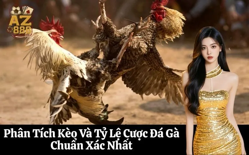 Phân Tích Kèo Và Tỷ Lệ Cược Đá Gà Chuẩn Xác Nhất