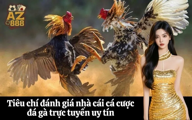 Tiêu chí đánh giá nhà cái cá cược đá gà trực tuyến uy tín