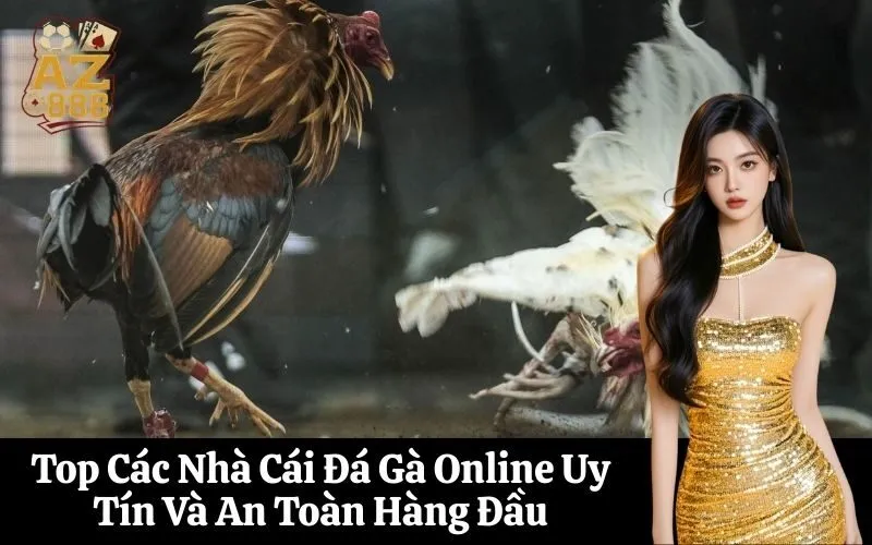 Top Các Nhà Cái Đá Gà Online Uy Tín Và An Toàn Hàng Đầu